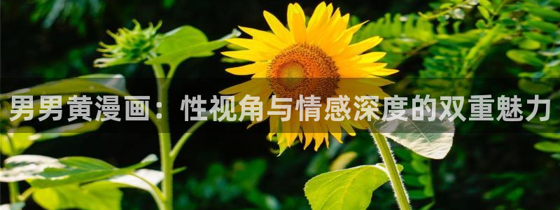 yy漫画入口大全：男男黄漫画：性视角与情感深度的双重魅力